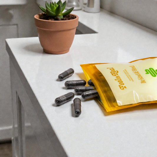 Be Kind & Bind - Binder